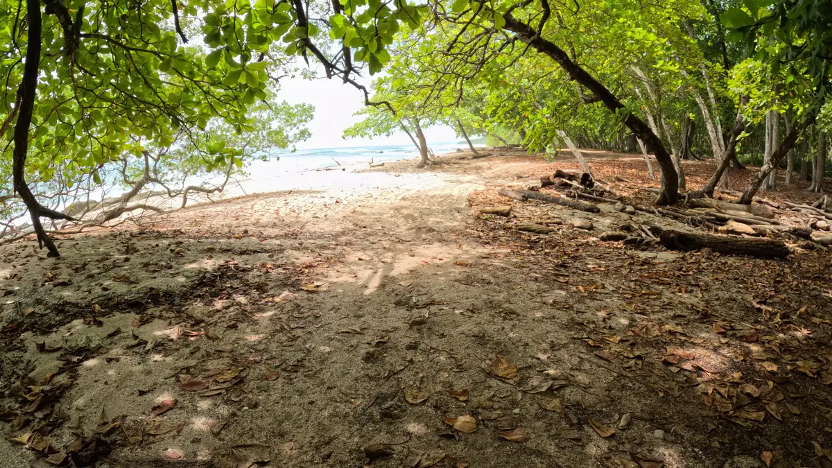 Jungle path opening onto a beach near Santa Teresa, Costa Rica