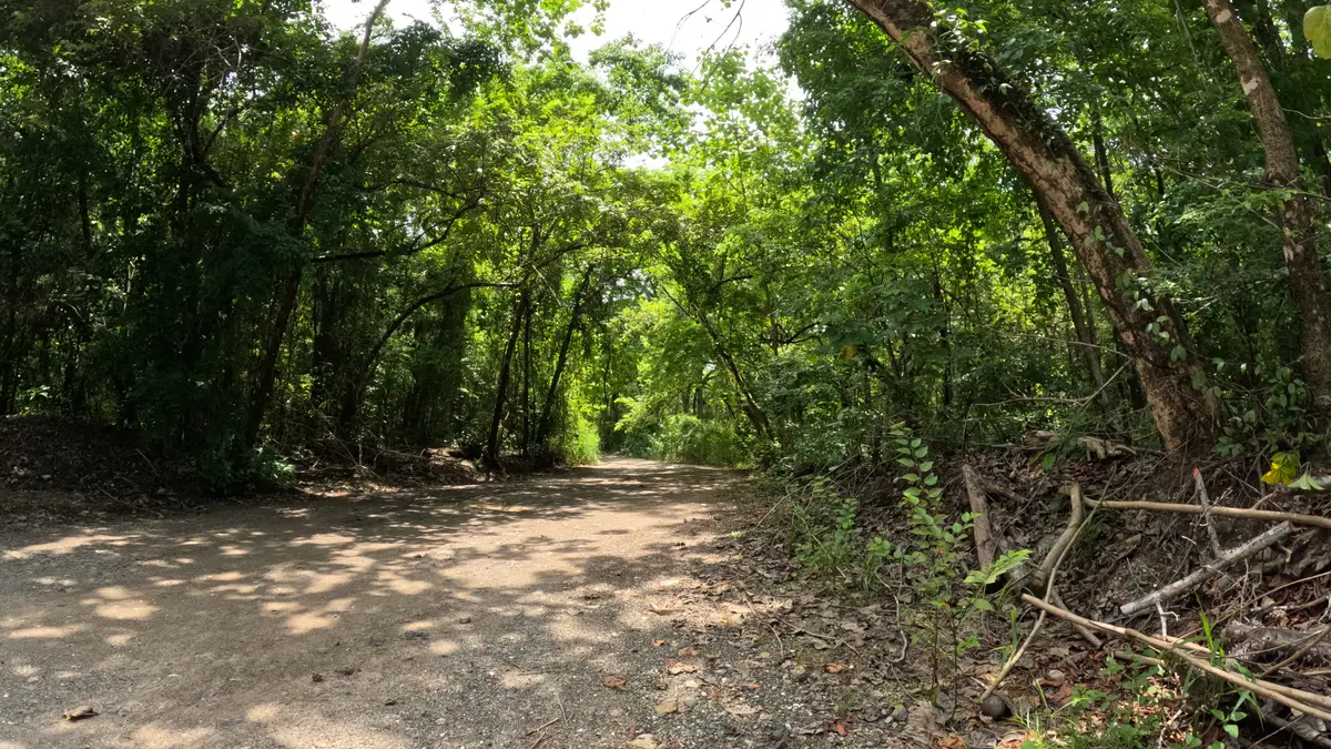 Unpaved jungle road near Santa Teresa, the kind of terrain a 4x4 quad is built for