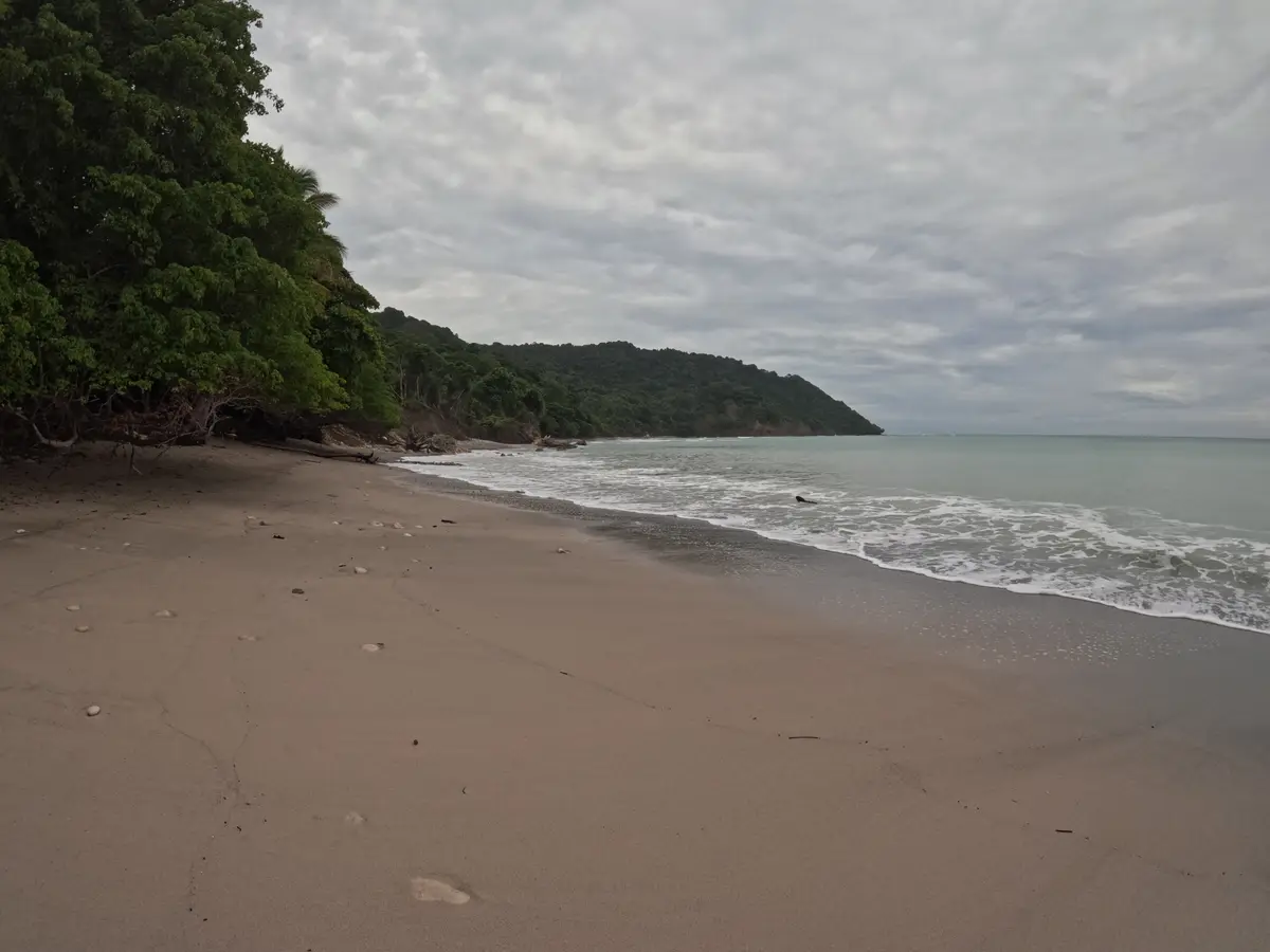 Jungle-covered headland on the road toward Manzanillo, Santa Teresa