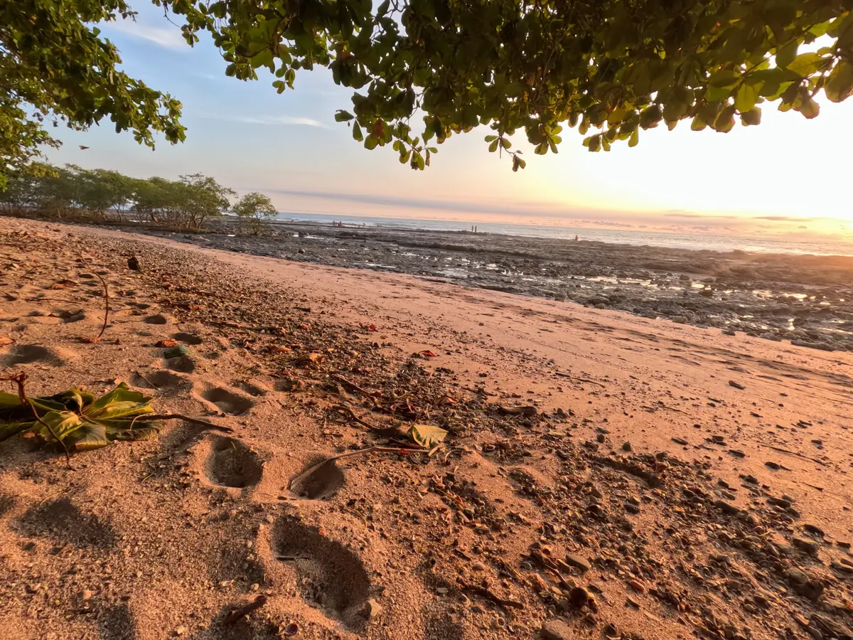 Footprints in the sand under the trees at Mar Azul in late-afternoon light