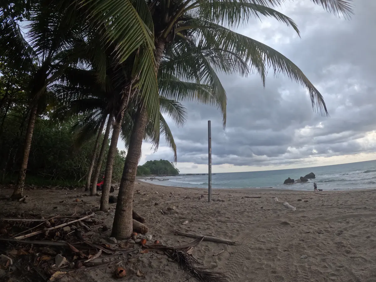 Palm trees at the top of a quiet beach near Santa Teresa on a cloudy afternoon